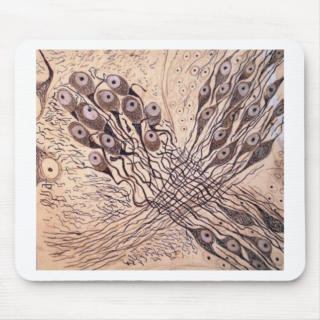 Tapis De Souris Les neurones 1 de Cajal (Devant)