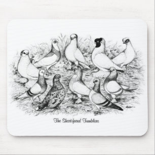 Tapis De Souris Les Pigeons Tumbler à courte vue