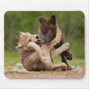 Tapis De Souris Les Pupes de loup gris se déchaînent