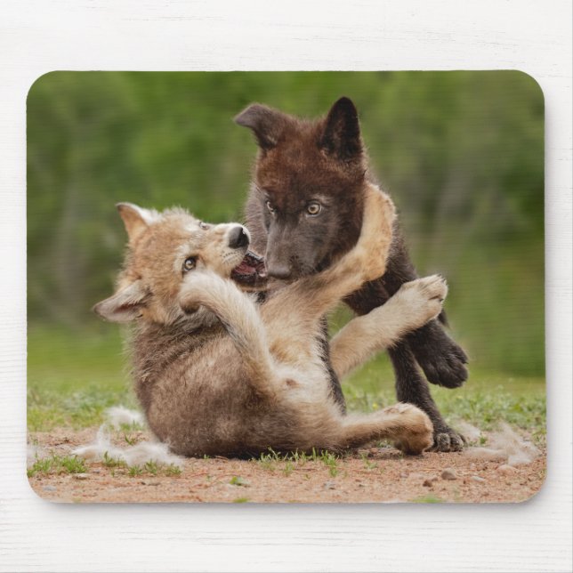 Tapis De Souris Les Pupes de loup gris se déchaînent (Devant)