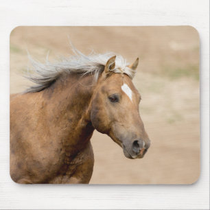 Tapis De Souris Les Runs plus audacieux des Chevaux sauvages