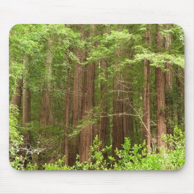Tapis De Souris Les séquoias au monument national de Muir Woods (Devant)