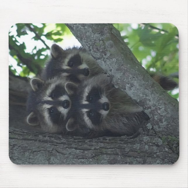 Tapis De Souris Les trois amis (Devant)