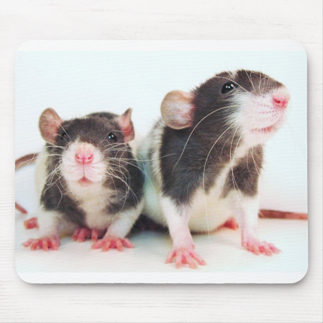 Tapis De Souris Les vraies femmes possèdent des rats ! (Devant)