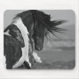 Tapis De Souris L'étalon noir et blanc frappe le Cheval sauvage Mo