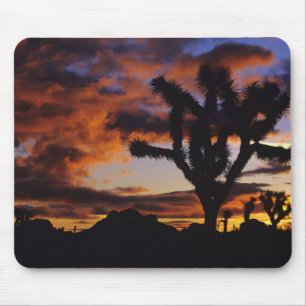 Tapis De Souris Lever du soleil spectaculaire à Joshua Tree Natio