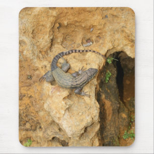 Tapis De Souris Lézard de barrière orientale