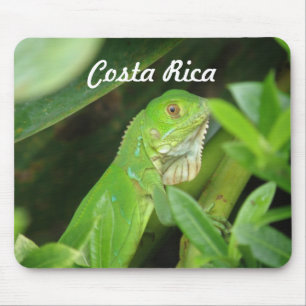 Tapis De Souris Lézard de Rican de côte