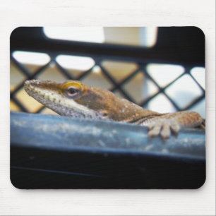 Tapis De Souris Lézard d'oignons vertes du soleil