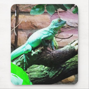 Tapis De Souris Lézard vert