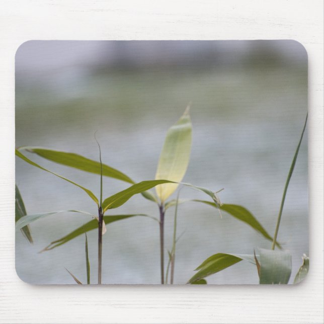 Tapis De Souris l'hiver arrive (Devant)