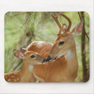 Tapis De Souris Liaison de mâle et de faon de Whitetail