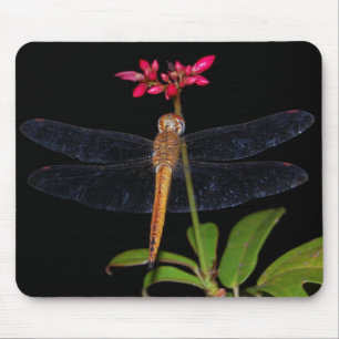 Tapis De Souris Libellule