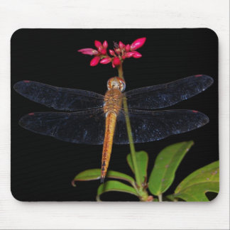Tapis De Souris Libellule