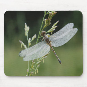 Tapis De Souris Libellule Darner couverte de rosée