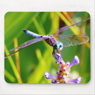 Tapis De Souris libellule turquoise et violette