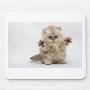 Tapis De Souris Libérez le chaton d'étreintes