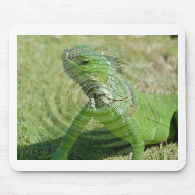 Tapis De Souris L'iguane vert (Devant)