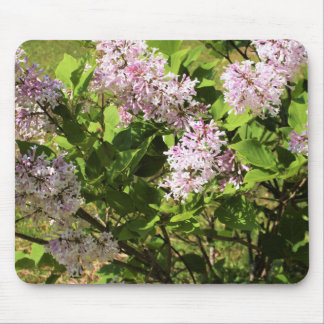 Tapis De Souris Lilas