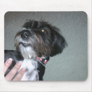 Tapis De Souris Lilypad