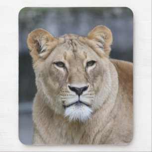 Tapis De Souris Lion 004