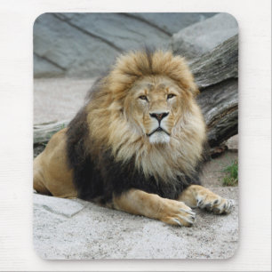 Tapis De Souris Lion 020