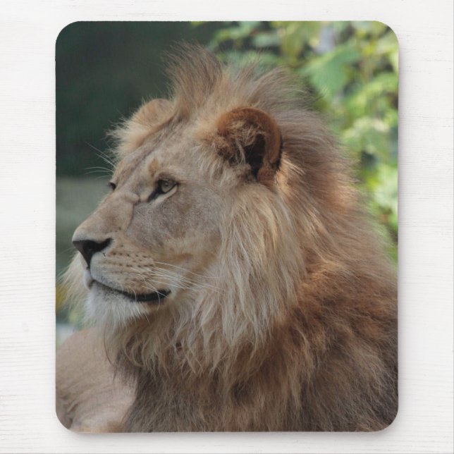 Tapis De Souris Lion 035 (Devant)