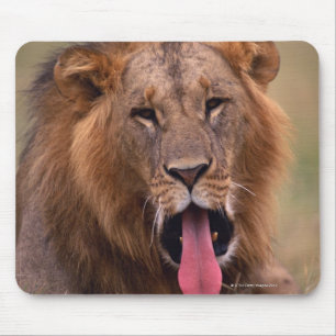 Tapis De Souris Lion 2