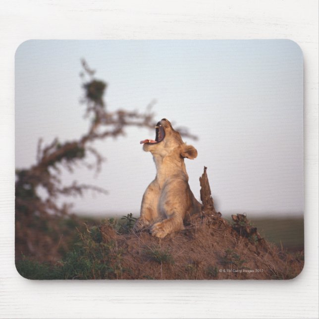 Tapis De Souris Lion 7 (Devant)