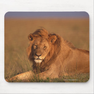 Tapis De Souris Lion 8