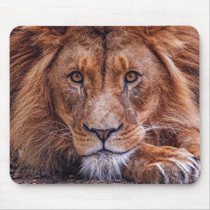 Tapis De Souris Lion africain