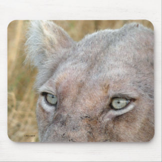 TAPIS DE SOURIS LION BLANC RARE