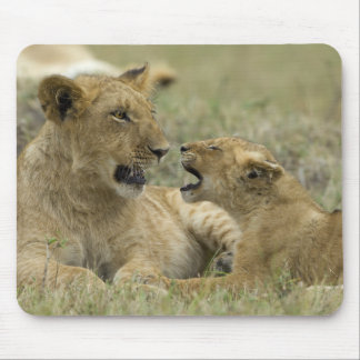 Tapis De Souris Lion Brothers