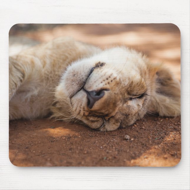 Tapis De Souris Lion CUB de sommeil des images | de Getty (Devant)