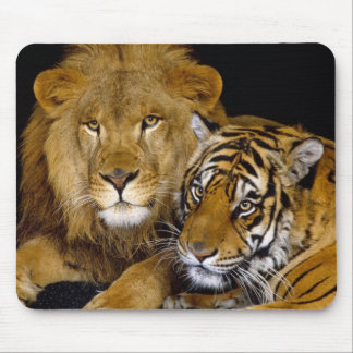 Tapis De Souris lion et un tigre