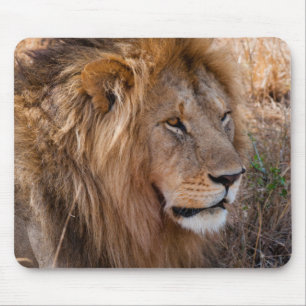 Tapis De Souris Lion Réserve nationale de Maasai Mara, Kenya