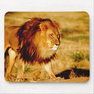 Tapis De Souris Lion solitaire