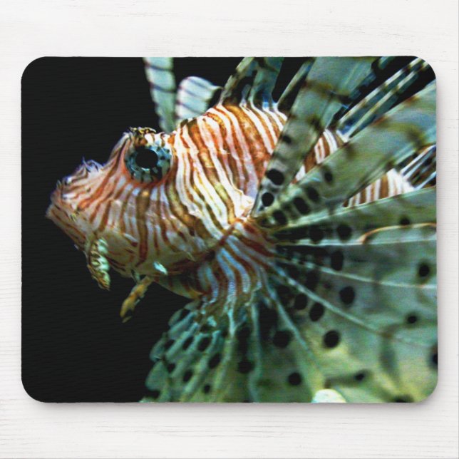 Tapis De Souris Lionfish Mousepad (Devant)