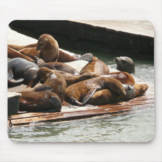 Tapis De Souris Lions de mer au soleil à San Francisco (Devant)