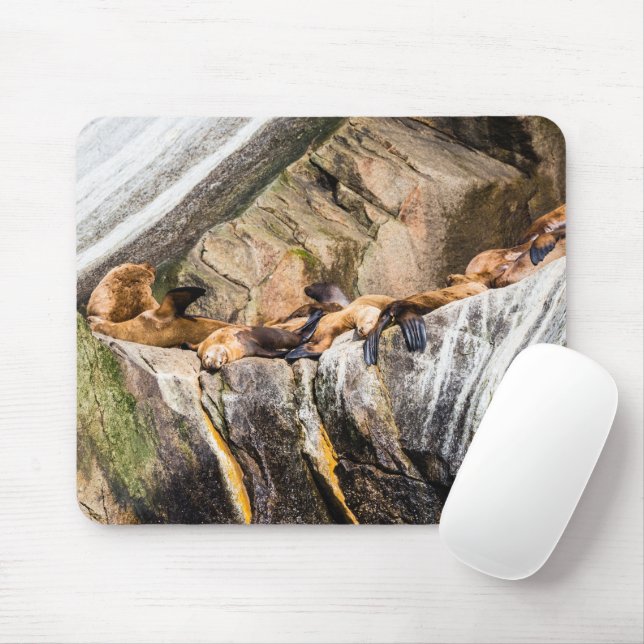 Tapis De Souris Lions De Mer Posés Sur Les Rochers (Avec souris)