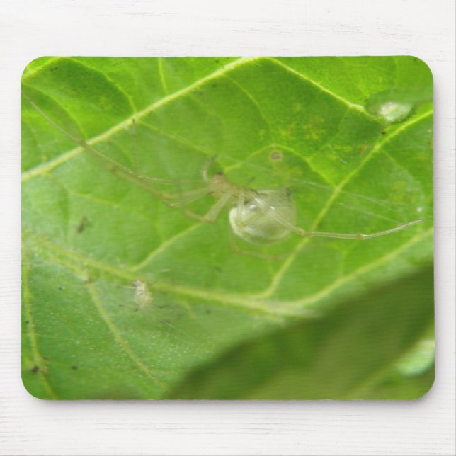 Tapis De Souris Little Spider Mousepad (Devant)