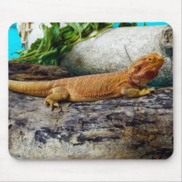 Tapis De Souris Lizard de dragon à tête adulte