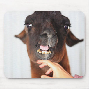Tapis De Souris Llama Love