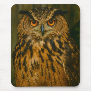 Tapis De Souris L'observateur - Aigle eurasien à la lumière du boi