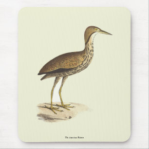 Tapis De Souris L'oiseau de Bittern américain (Botaurus lentiginos