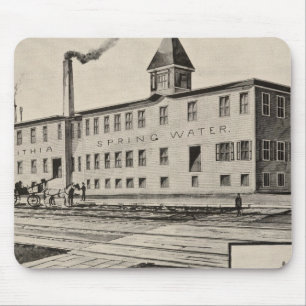 Tapis De Souris Londonderry Lithia Spring Water Co.