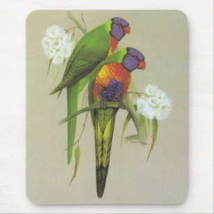 Tapis De Souris Lorikeet arc-en-ciel - Trichoglossus haematodus