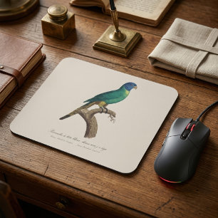 Tapis De Souris Loriquet arc-en-ciel juvénile Trichoglossus molucc