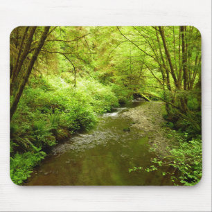 Tapis De Souris Lost Man Creek I au parc national de Redwood