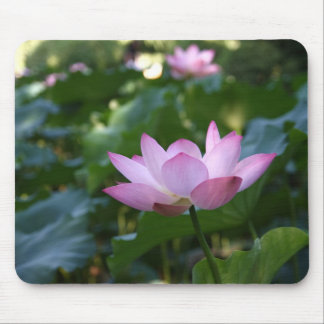 Tapis De Souris Lotus